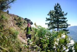 BIB: 
                            <button type="button" onclick="openModal(26608628)" class="btn btn-primary btn-sm float-right btn-popup" data-toggle="modal" data-target=".modal-high-quality">
                        <i class="fas fa-shopping-cart"></i> Add to Cart
                    </button>
                                            <button type="button" onclick="isThisMe(26608628, true)" class="btn btn-success btn-sm float-right btn-popup btn-isme hidden" data-toggle="tooltip" data-placement="bottom" title="นี่คือรูปของคุณใช่ไหม คลิกที่นี่เพื่อเอาเข้าอัลบั้ม">
                        <i class="fas fa-plus"></i> Add to album
                    </button>
                    <button type="button" onclick="isThisMe(26608628, false)" class="btn btn-warning btn-sm float-right btn-popup btn-isnotme hidden">
                        <i class="fas fa-ban"></i> Remove from album
                    </button>